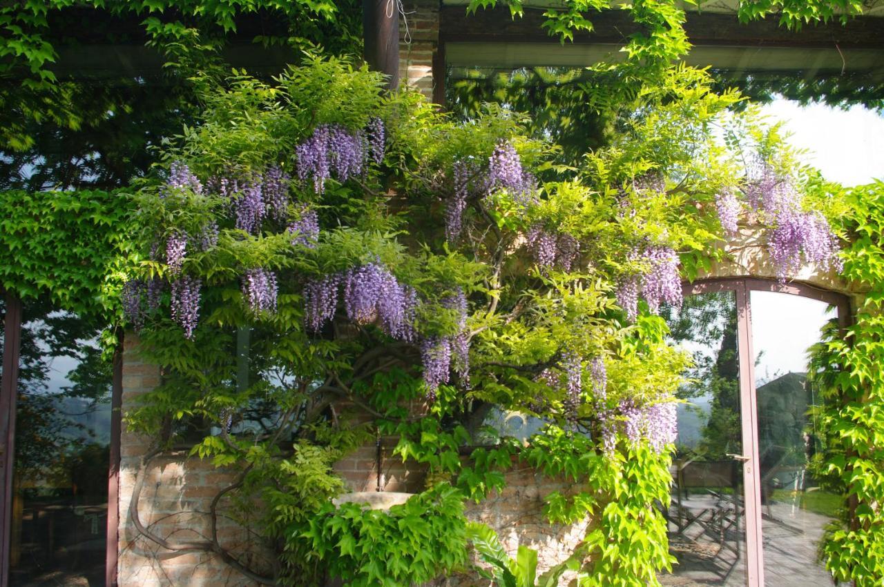 Villa La Casa Sopra Le Nuvole à Medesano Extérieur photo